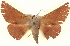  ( - BIOUG04676-G08)  @14 [ ] CreativeCommons - Attribution (2013) CBG Photography Group Centre for Biodiversity Genomics