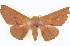  ( - BIOUG04676-G09)  @14 [ ] CreativeCommons - Attribution (2013) CBG Photography Group Centre for Biodiversity Genomics