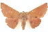  ( - BIOUG04676-G12)  @14 [ ] CreativeCommons - Attribution (2013) CBG Photography Group Centre for Biodiversity Genomics