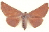  ( - BIOUG04676-H01)  @14 [ ] CreativeCommons - Attribution (2013) CBG Photography Group Centre for Biodiversity Genomics