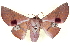  ( - BIOUG04676-H03)  @14 [ ] CreativeCommons - Attribution (2013) CBG Photography Group Centre for Biodiversity Genomics