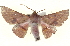  ( - BIOUG04676-H07)  @14 [ ] CreativeCommons - Attribution (2013) CBG Photography Group Centre for Biodiversity Genomics