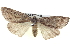 ( - BIOUG04677-A01)  @14 [ ] CreativeCommons - Attribution (2013) CBG Photography Group Centre for Biodiversity Genomics