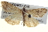  ( - BIOUG04677-C10)  @14 [ ] CreativeCommons - Attribution (2013) CBG Photography Group Centre for Biodiversity Genomics