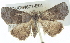  ( - BIOUG04677-E01)  @14 [ ] CreativeCommons - Attribution (2013) CBG Photography Group Centre for Biodiversity Genomics