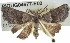  ( - BIOUG04677-E02)  @14 [ ] CreativeCommons - Attribution (2013) CBG Photography Group Centre for Biodiversity Genomics