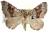  ( - BIOUG04677-G08)  @15 [ ] CreativeCommons - Attribution (2013) CBG Photography Group Centre for Biodiversity Genomics