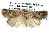  ( - BIOUG05071-B10)  @13 [ ] CreativeCommons - Attribution (2013) CBG Photography Group Centre for Biodiversity Genomics