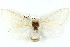  ( - BIOUG05071-C08)  @13 [ ] CreativeCommons - Attribution (2013) CBG Photography Group Centre for Biodiversity Genomics