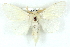  ( - BIOUG05071-C09)  @13 [ ] CreativeCommons - Attribution (2013) CBG Photography Group Centre for Biodiversity Genomics