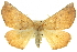  ( - BIOUG05071-F05)  @15 [ ] CreativeCommons - Attribution (2013) CBG Photography Group Centre for Biodiversity Genomics