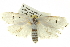 ( - BIOUG05071-G08)  @15 [ ] CreativeCommons - Attribution (2013) CBG Photography Group Centre for Biodiversity Genomics