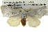 ( - BIOUG05071-H06)  @14 [ ] CreativeCommons - Attribution (2013) CBG Photography Group Centre for Biodiversity Genomics