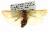  ( - BIOUG05071-H07)  @11 [ ] CreativeCommons - Attribution (2013) CBG Photography Group Centre for Biodiversity Genomics