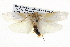  ( - BIOUG05072-A01)  @13 [ ] CreativeCommons - Attribution (2013) CBG Photography Group Centre for Biodiversity Genomics