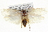  ( - BIOUG05072-A07)  @13 [ ] CreativeCommons - Attribution (2013) CBG Photography Group Centre for Biodiversity Genomics