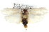  ( - BIOUG05072-A11)  @13 [ ] CreativeCommons - Attribution (2013) CBG Photography Group Centre for Biodiversity Genomics