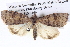  ( - BIOUG05072-D05)  @14 [ ] CreativeCommons - Attribution (2013) CBG Photography Group Centre for Biodiversity Genomics