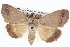  ( - BIOUG05072-E02)  @14 [ ] CreativeCommons - Attribution (2013) CBG Photography Group Centre for Biodiversity Genomics