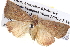  ( - BIOUG05072-E10)  @14 [ ] CreativeCommons - Attribution (2013) CBG Photography Group Centre for Biodiversity Genomics