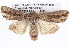  ( - BIOUG05072-E12)  @14 [ ] CreativeCommons - Attribution (2013) CBG Photography Group Centre for Biodiversity Genomics