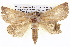  ( - BIOUG05072-F08)  @15 [ ] CreativeCommons - Attribution (2013) CBG Photography Group Centre for Biodiversity Genomics