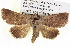  ( - BIOUG05072-G05)  @15 [ ] CreativeCommons - Attribution (2013) CBG Photography Group Centre for Biodiversity Genomics