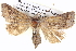  ( - BIOUG05072-H02)  @15 [ ] CreativeCommons - Attribution (2013) CBG Photography Group Centre for Biodiversity Genomics