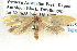  ( - BIOUG06106-G11)  @12 [ ] CreativeCommons - Attribution (2013) CBG Photography Group Centre for Biodiversity Genomics