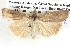  ( - BIOUG06106-H04)  @14 [ ] CreativeCommons - Attribution (2013) CBG Photography Group Centre for Biodiversity Genomics