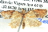  ( - BIOUG06106-H07)  @13 [ ] CreativeCommons - Attribution (2013) CBG Photography Group Centre for Biodiversity Genomics