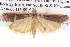  ( - BIOUG06107-A08)  @14 [ ] CreativeCommons - Attribution (2013) CBG Photography Group Centre for Biodiversity Genomics