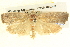  ( - BIOUG06107-D10)  @13 [ ] CreativeCommons - Attribution (2013) CBG Photography Group Centre for Biodiversity Genomics
