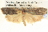  ( - BIOUG06107-D12)  @13 [ ] CreativeCommons - Attribution (2013) CBG Photography Group Centre for Biodiversity Genomics