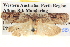  ( - BIOUG06107-F03)  @12 [ ] CreativeCommons - Attribution (2013) CBG Photography Group Centre for Biodiversity Genomics