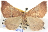  ( - BIOUG06107-G12)  @15 [ ] CreativeCommons - Attribution (2013) CBG Photography Group Centre for Biodiversity Genomics