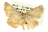  ( - BIOUG06107-H07)  @12 [ ] CreativeCommons - Attribution (2013) CBG Photography Group Centre for Biodiversity Genomics