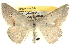  ( - BIOUG06108-A06)  @14 [ ] CreativeCommons - Attribution (2012) CBG Photography Group Centre for Biodiversity Genomics