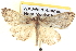  ( - BIOUG06108-A07)  @13 [ ] CreativeCommons - Attribution (2012) CBG Photography Group Centre for Biodiversity Genomics