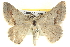  ( - BIOUG06108-A09)  @14 [ ] CreativeCommons - Attribution (2012) CBG Photography Group Centre for Biodiversity Genomics