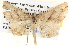 ( - BIOUG06108-C03)  @13 [ ] CreativeCommons - Attribution (2012) CBG Photography Group Centre for Biodiversity Genomics