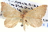  ( - BIOUG06108-D04)  @14 [ ] CreativeCommons - Attribution (2012) CBG Photography Group Centre for Biodiversity Genomics