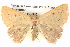  ( - BIOUG06108-E01)  @13 [ ] CreativeCommons - Attribution (2012) CBG Photography Group Centre for Biodiversity Genomics