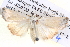  ( - BIOUG06108-E06)  @13 [ ] CreativeCommons - Attribution (2012) CBG Photography Group Centre for Biodiversity Genomics