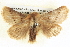  ( - BIOUG06108-G11)  @14 [ ] CreativeCommons - Attribution (2012) CBG Photography Group Centre for Biodiversity Genomics