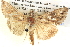  ( - BIOUG06109-B04)  @14 [ ] CreativeCommons - Attribution (2012) CBG Photography Group Centre for Biodiversity Genomics