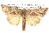  ( - BIOUG06109-B09)  @14 [ ] CreativeCommons - Attribution (2012) CBG Photography Group Centre for Biodiversity Genomics