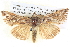  ( - BIOUG06109-B10)  @14 [ ] CreativeCommons - Attribution (2012) CBG Photography Group Centre for Biodiversity Genomics