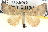  (Laspeyria - BIOUG06109-F05)  @15 [ ] CreativeCommons - Attribution (2012) CBG Photography Group Centre for Biodiversity Genomics