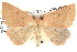  ( - BIOUG06109-F10)  @14 [ ] CreativeCommons - Attribution (2012) CBG Photography Group Centre for Biodiversity Genomics
